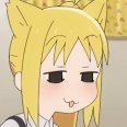 猫猫猫猫